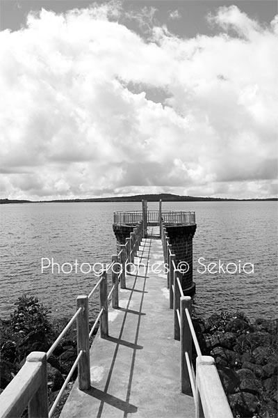 Ile Maurice Mare aux Vacoas