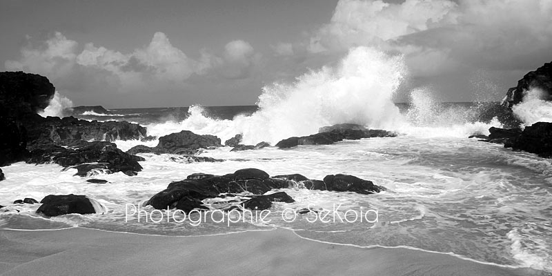 Ile Maurice en noir et blanc