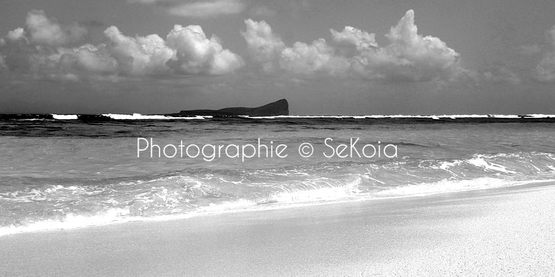 Photographe Ile Maurice noir et blanc