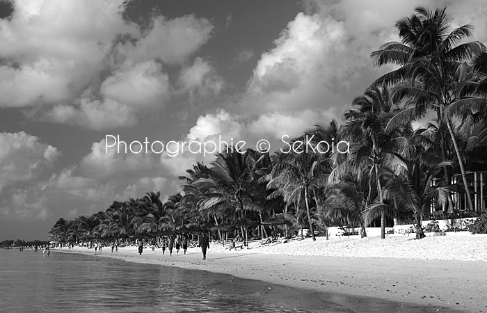 Photographe-mauritius-island