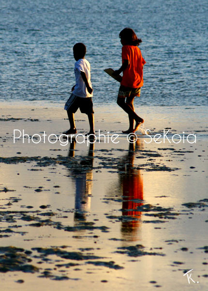 Reflet et lumière au soleil couchant - Ile Maurice