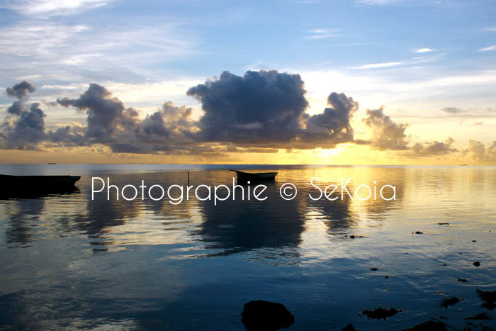 Sekoia-guide-ile-maurice-114