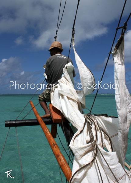 Mats et voiles