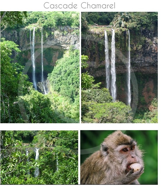 cascade-chamarel-ile-maurice-05