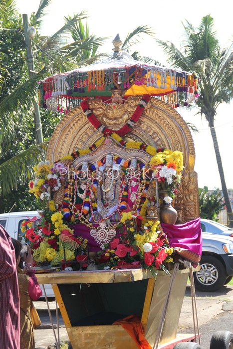 cavadee-ile maurice-75