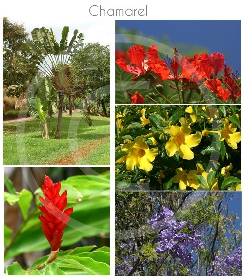 chamarel-ile-maurice-06