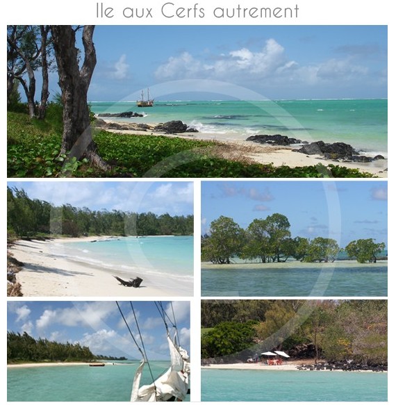 ile-aux-cerfs-ile-maurice-04