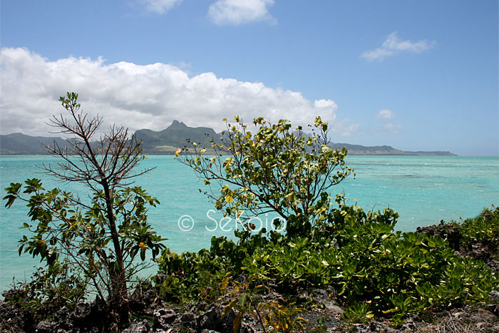 Ile Maurice Baie Mahébourgg