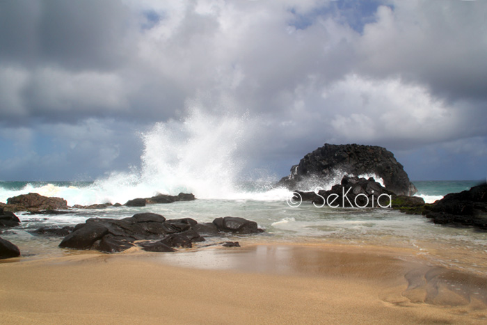 Ile Maurice Côte sauvage