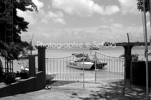 ile-maurice-noir-blanc