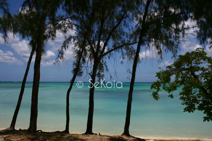 Ile Maurice photo Sekoia