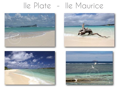 ile-plate-ile-maurice-116