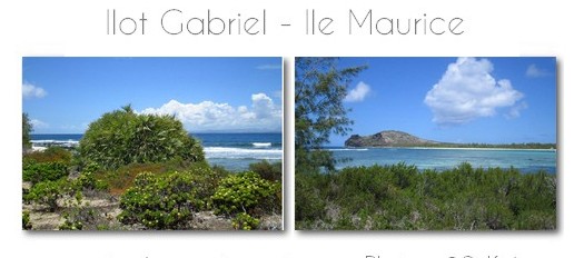 ile-plate-ile-maurice-118