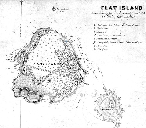 ile-plate-ile-maurice-120