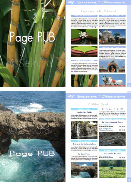 infographie ile maurice guide