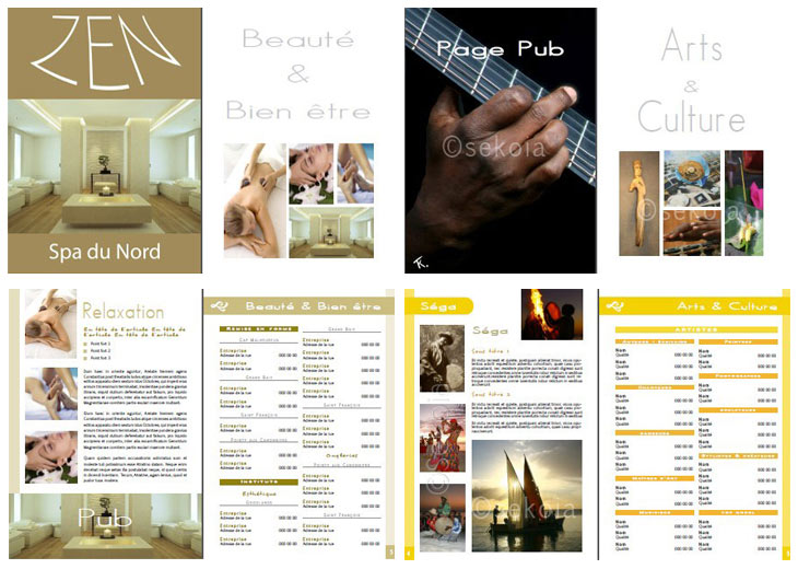 infographie pao ile maurice