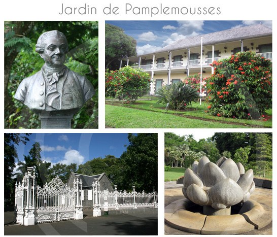 jardin-pamplemousse-ile-maurice-21