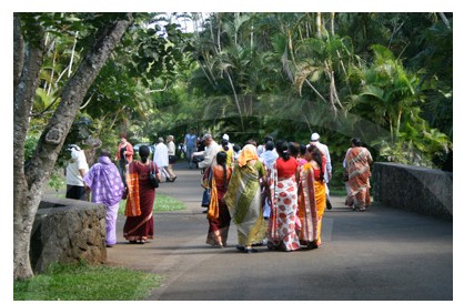 jardin-pamplemousse-ile-maurice-25