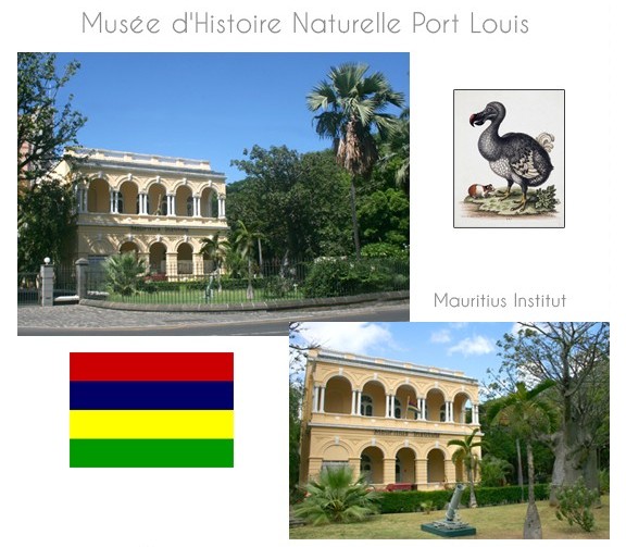 musee-ile-maurice-10