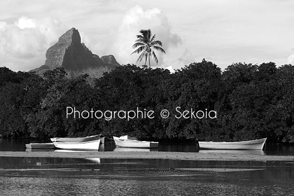 photographe-ile-maurice-