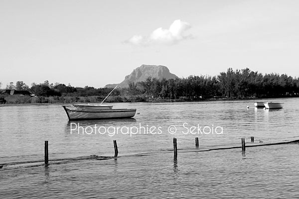 Baie de Rivière Noire Ile Maurice