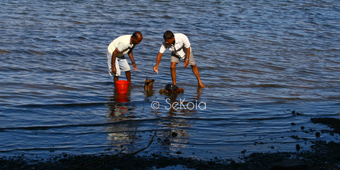 Pèche ile Maurice