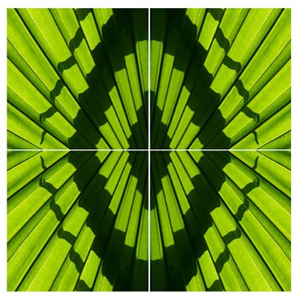 quadriptyque-deco-nature
