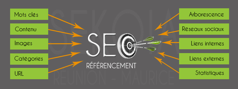 referencement-seo-reunion-maurice