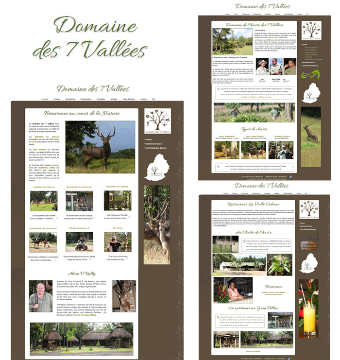 Site web Ile Maurice